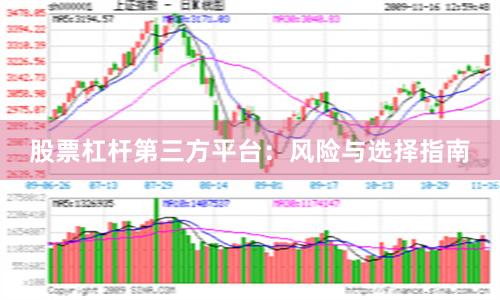股票杠杆第三方平台：风险与选择指南