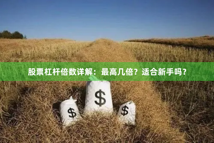 股票杠杆倍数详解：最高几倍？适合新手吗？